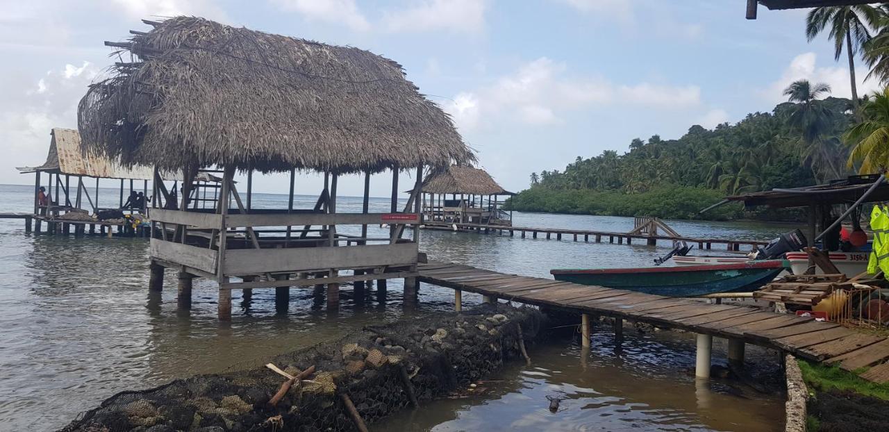 פורטובלו Rainforest Lodge Del Rio מראה חיצוני תמונה