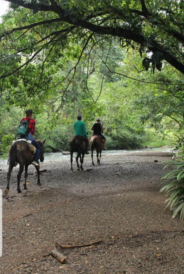 פורטובלו Rainforest Lodge Del Rio מראה חיצוני תמונה