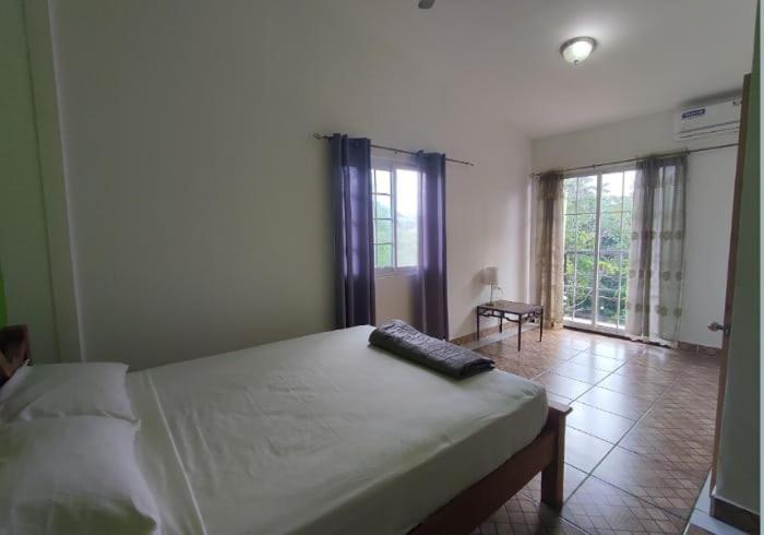 פורטובלו Rainforest Lodge Del Rio מראה חיצוני תמונה
