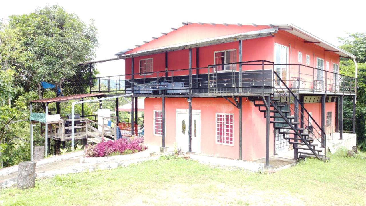 פורטובלו Rainforest Lodge Del Rio מראה חיצוני תמונה