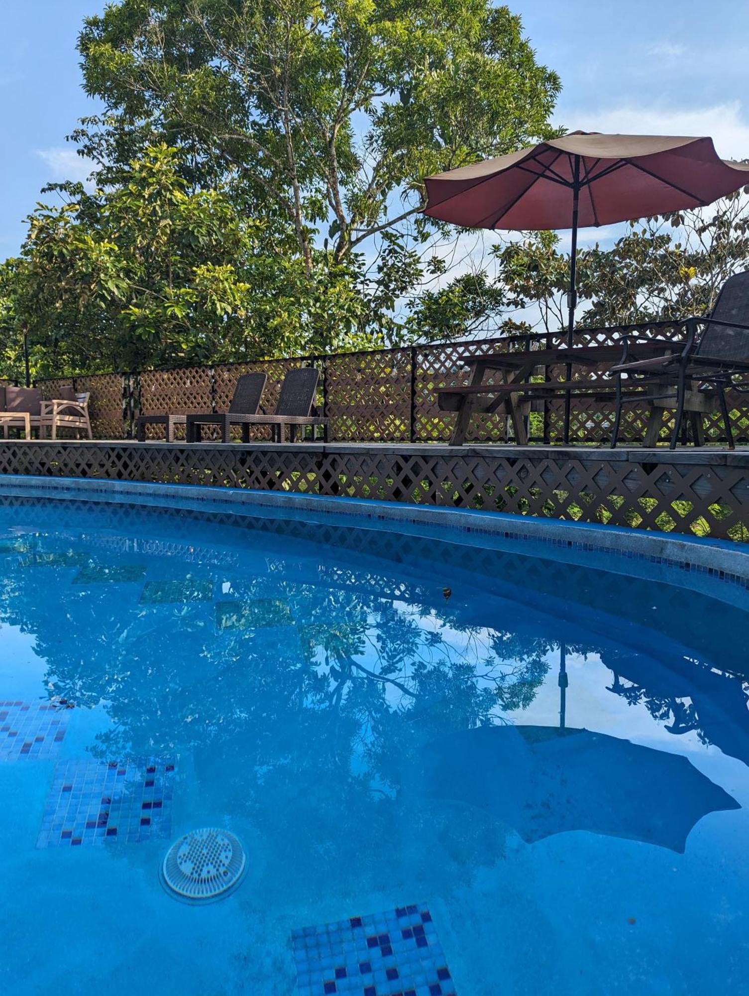 פורטובלו Rainforest Lodge Del Rio מראה חיצוני תמונה