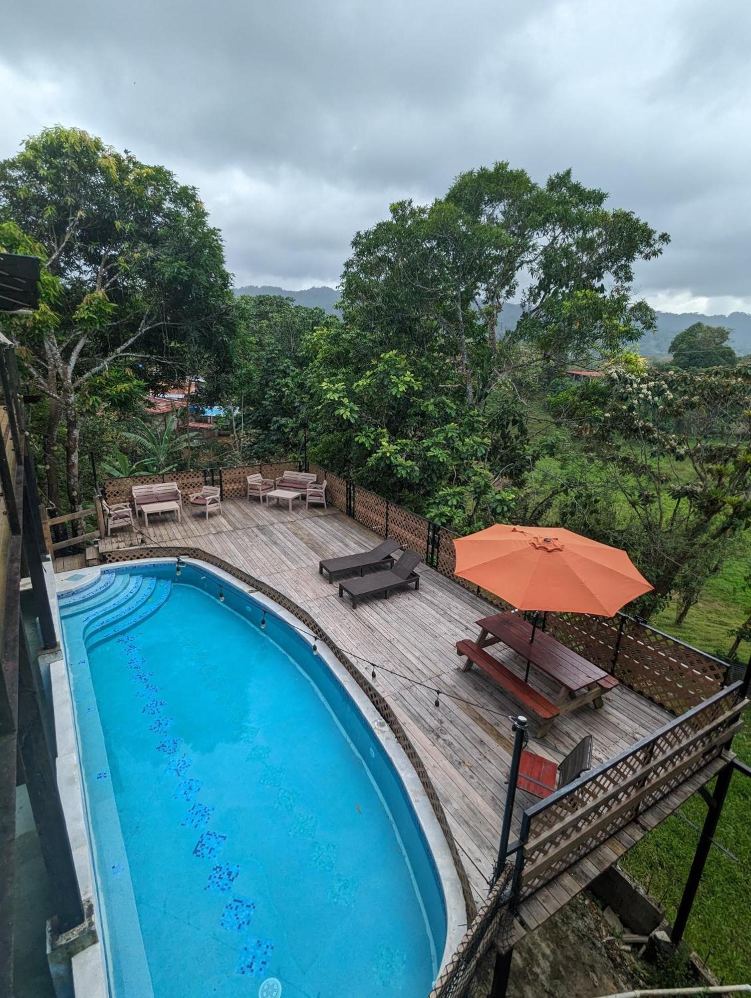 פורטובלו Rainforest Lodge Del Rio מראה חיצוני תמונה